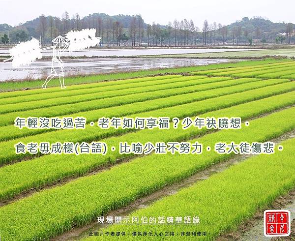 攀好事 攀好事