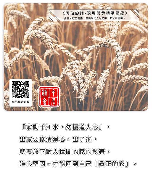 剛開始總是美好的,後面就知道了! 剛開始總是美好的,後面就知道了!