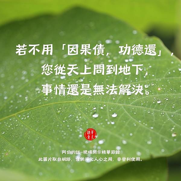 2024_08_繁-(42)-106.12.24.jpg 2024_08_繁-(42)-106.12.24.jpg