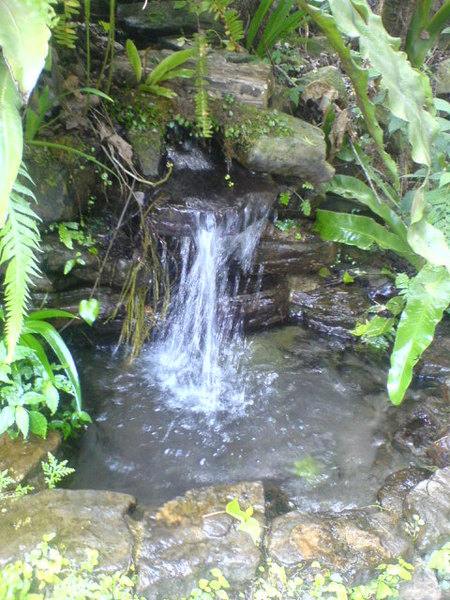 六號花園廁所水龍頭.JPG