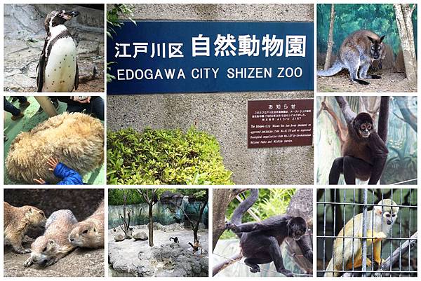 江戶川區自然動物園