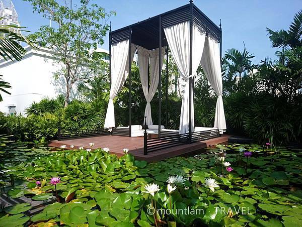曼谷酒店: Mövenpick Hotel Sukhumvit 15 Bangkok曼谷素坤逸15巷瑞享酒店的天台花園 曼谷酒店: Mövenpick Hotel Sukhumvit 15 Bangkok曼谷素坤逸15巷瑞享酒店的天台花園