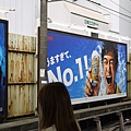P1070415.JPG