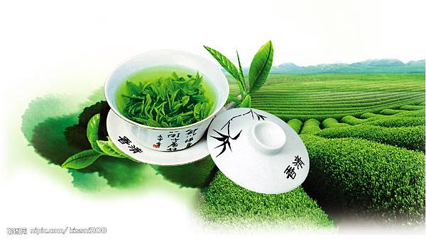 綠茶 綠茶