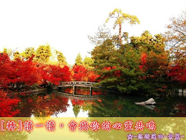 ☆-悠遊蓮田-景麗-jpg ☆-悠遊蓮田-景麗-jpg