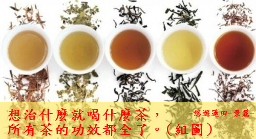 想治什麼就喝什麼茶