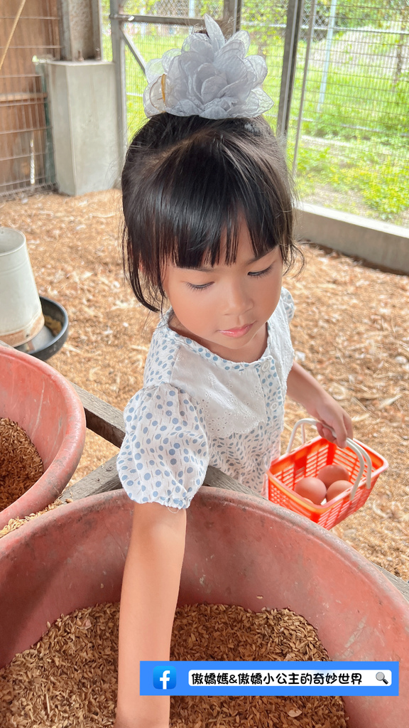《親子景點》免費餵小小動物/體驗撿雞蛋/親子農場/戶外景點/ 《親子景點》免費餵小小動物/體驗撿雞蛋/親子農場/戶外景點/