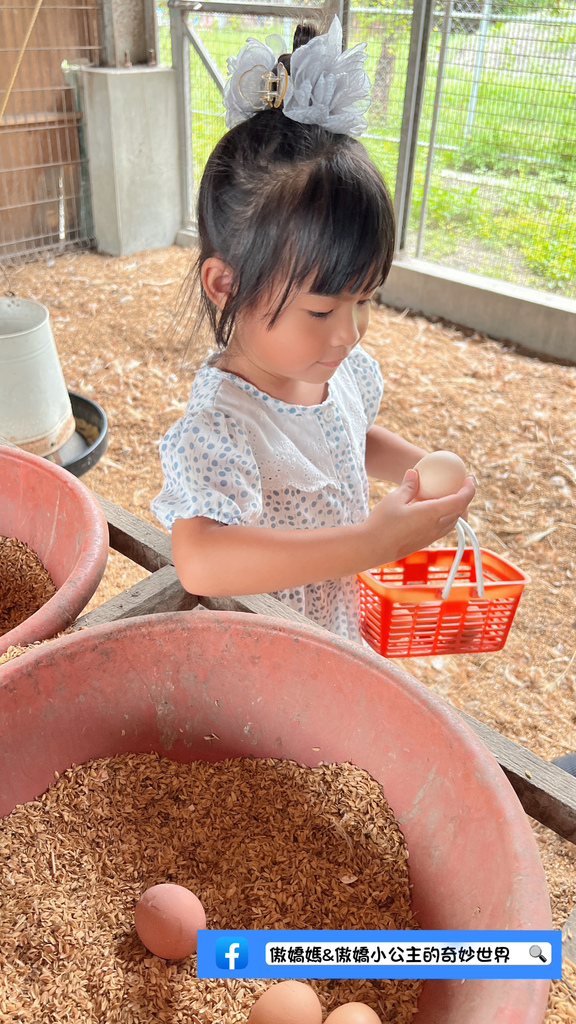 《親子景點》免費餵小小動物/體驗撿雞蛋/親子農場/戶外景點/ 《親子景點》免費餵小小動物/體驗撿雞蛋/親子農場/戶外景點/