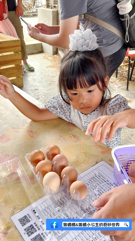 《親子景點》免費餵小小動物/體驗撿雞蛋/親子農場/戶外景點/ 《親子景點》免費餵小小動物/體驗撿雞蛋/親子農場/戶外景點/