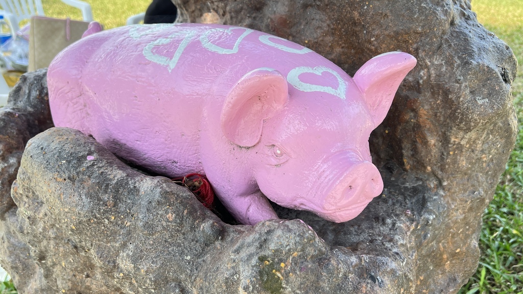 《親子景點》彰化全新長頸鹿休閒農場,玩水、玩沙、電動車還能划 《親子景點》彰化全新長頸鹿休閒農場,玩水、玩沙、電動車還能划