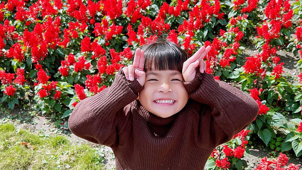 《親子景點》萬景藝苑X彎彎滑森樂園｜百元門票三代同堂｜帶你用