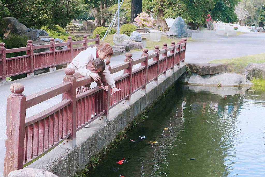 《親子景點》萬景藝苑X彎彎滑森樂園｜百元門票三代同堂｜帶你用