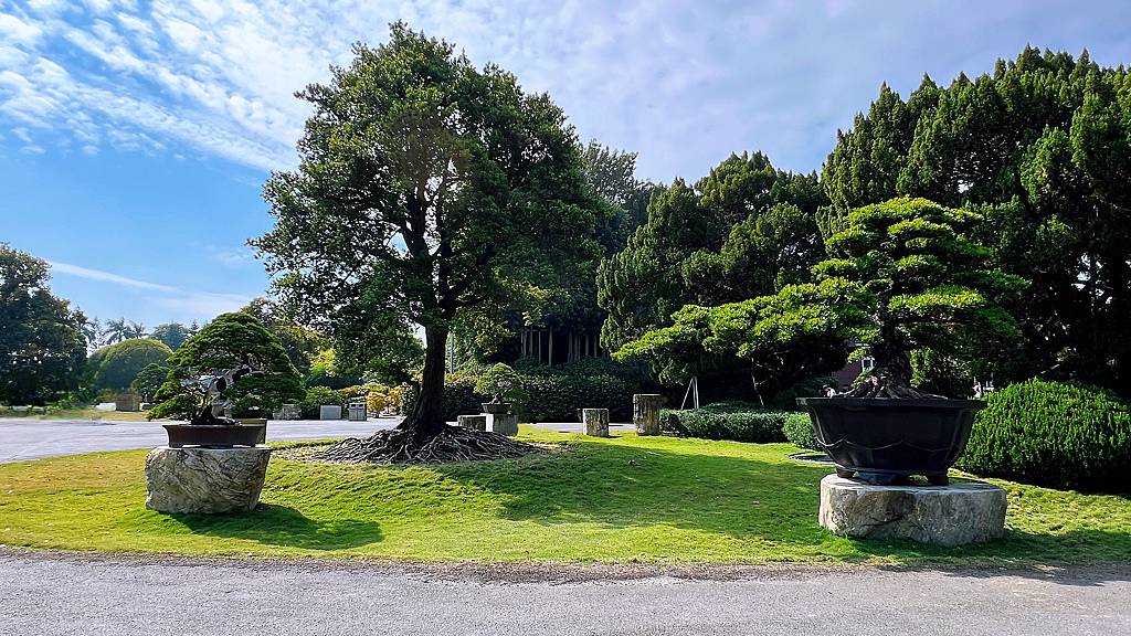 《親子景點》萬景藝苑X彎彎滑森樂園｜百元門票三代同堂｜帶你用