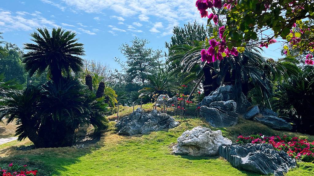 《親子景點》萬景藝苑X彎彎滑森樂園｜百元門票三代同堂｜帶你用