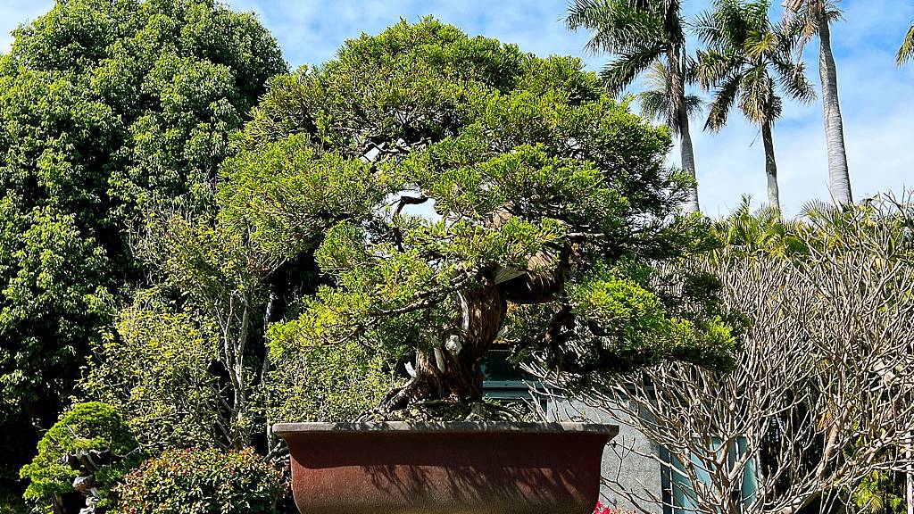 《親子景點》萬景藝苑X彎彎滑森樂園｜百元門票三代同堂｜帶你用