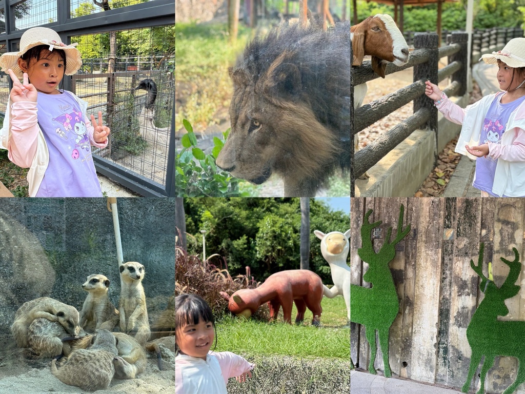 《高雄景點》超親民票價 × 超近距離接觸 × 必訪親子景點！