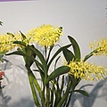 IMG_5623.JPG