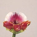 IMG_5683.JPG