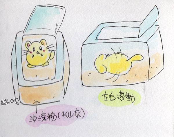 img359 img359