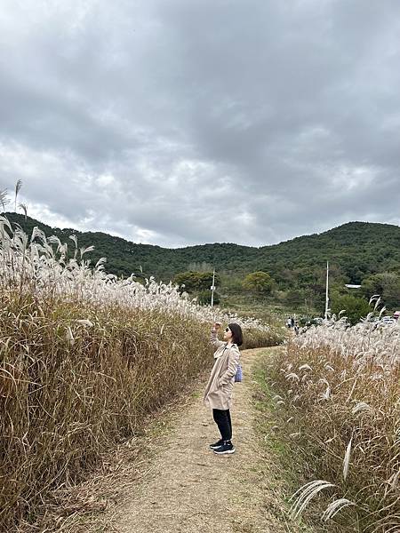 2023秋日漫遊清洲day3 - 2023秋日漫遊清洲day3 - 上黨山城 / 城安路 /
