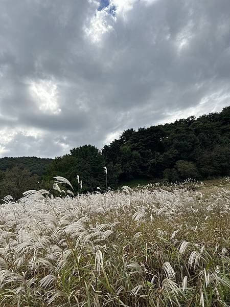 2023秋日漫遊清洲day3 - 2023秋日漫遊清洲day3 - 上黨山城 / 城安路 /
