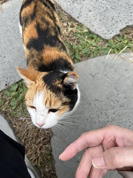 2023秋日漫遊清洲day3 - 2023秋日漫遊清洲day3 - 上黨山城 / 城安路 /