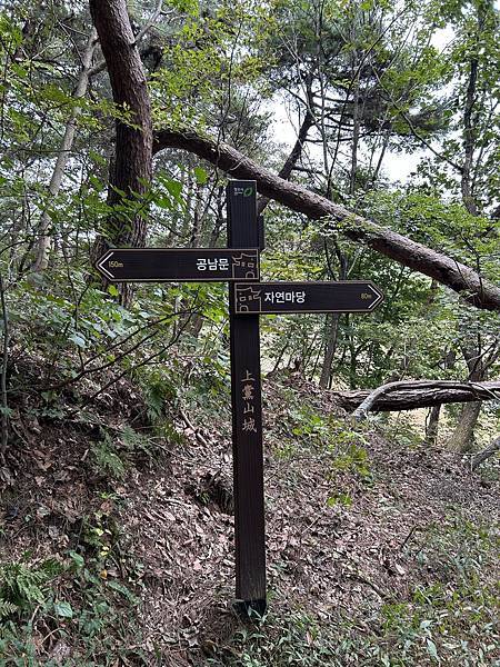 2023秋日漫遊清洲day3 - 2023秋日漫遊清洲day3 - 上黨山城 / 城安路 /