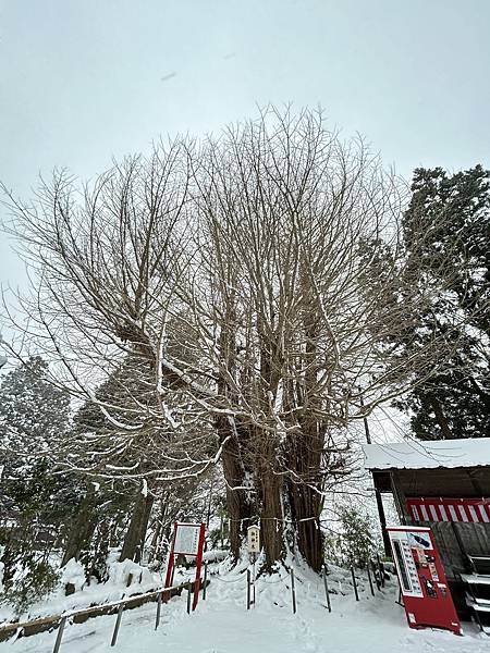 2024東北藏王樹冰團day2 - 天空古寺 / 涮乃葉