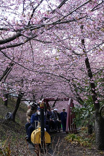 松田町