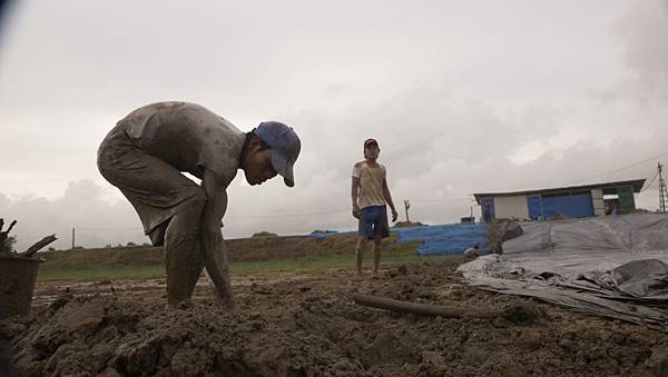 《鑽石水族世界》，新南向政策的美夢縮影。