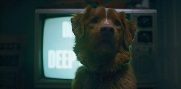 [好雷]《乖狗狗》，牠看見的，聽見的，經歷著的