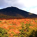 整座山紅紅綠綠的