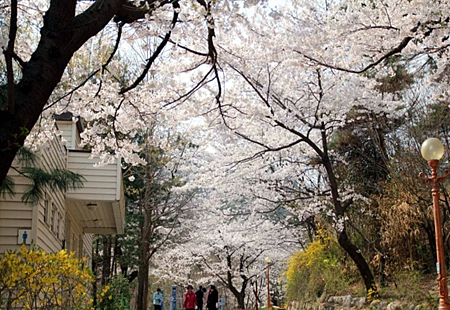 三清公園