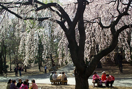 顯忠園