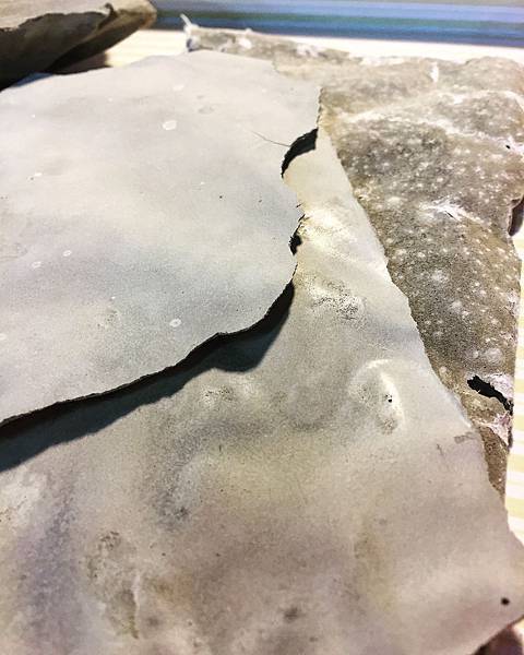 相片 2015-10-6 下午5 33 50 相片 2015-10-6 下午5 33 50