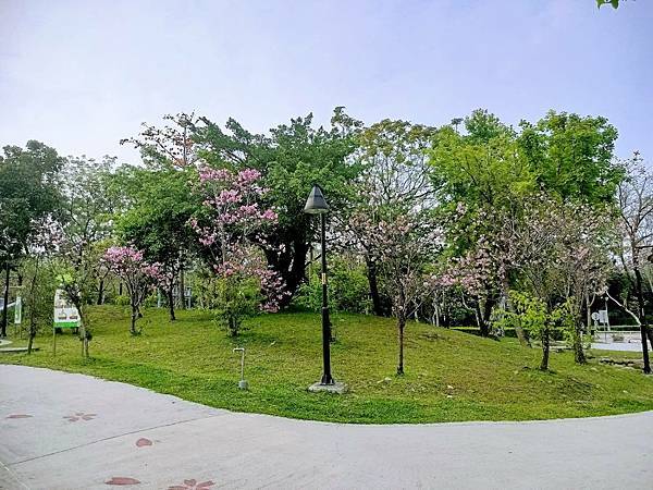 三峽北大｜龍宮青龍主燈｜樹林萬坪公園