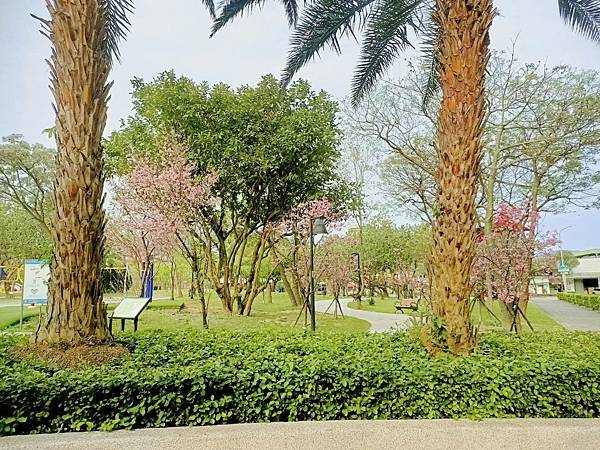 三峽北大｜龍宮青龍主燈｜樹林萬坪公園