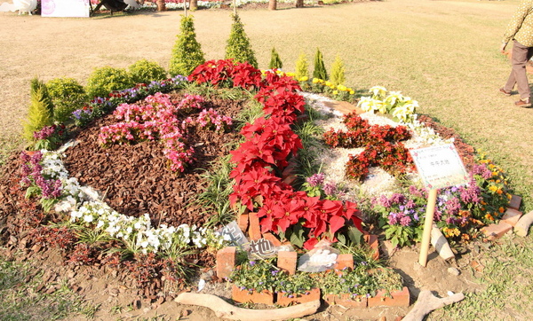 DPP_0013_縮小大小.JPG DPP_0013_縮小大小.JPG