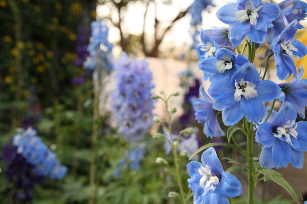 DPP_0053_縮小大小.JPG DPP_0053_縮小大小.JPG
