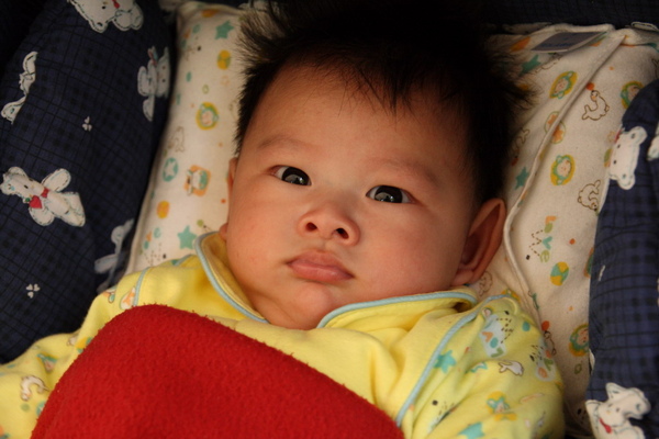 DPP_0074_縮小大小.JPG DPP_0074_縮小大小.JPG
