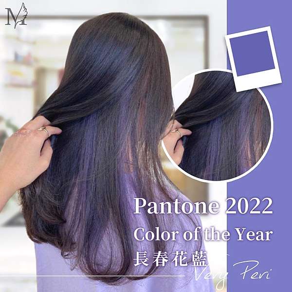 22年度代表色very Peri 長春花藍 Pantone Color Of The Year 22 流行髮色 最仙氣的熱門髮色紫色調合藍色的髮色霧感灰紫色顯白款髮色高級感髮色