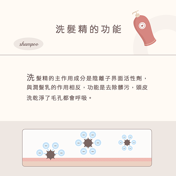 為什麼洗潤要分開-1.png