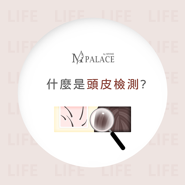 懶人包-8.png