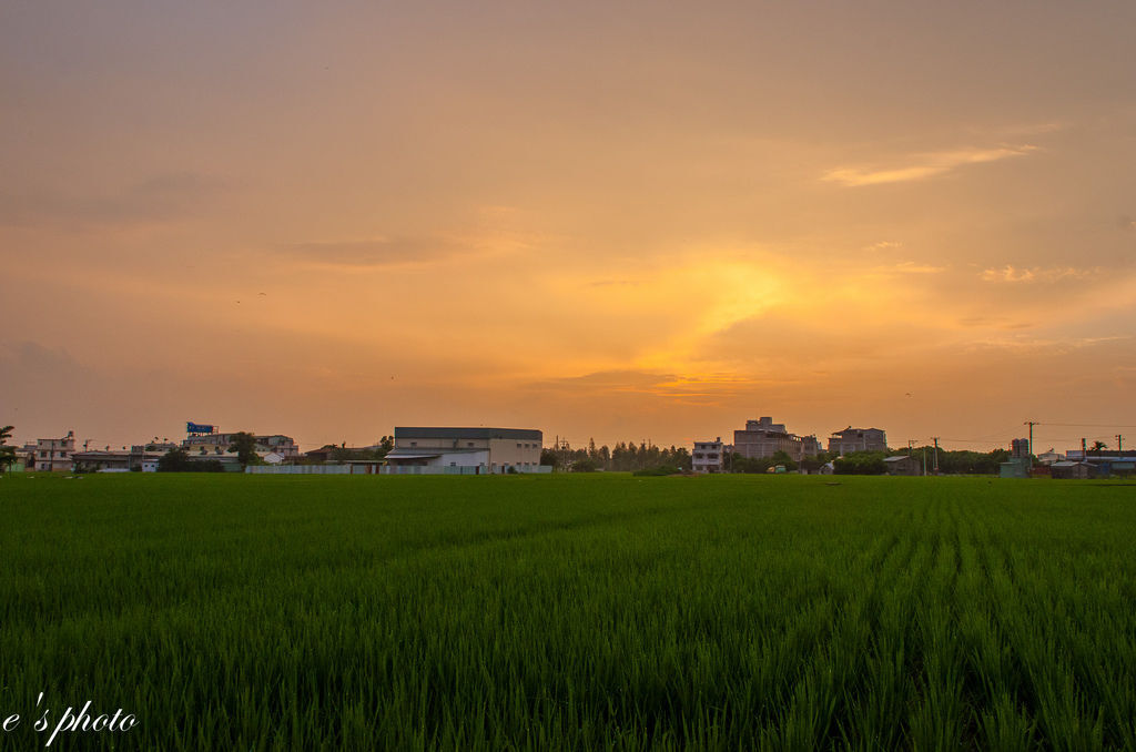 田間夕陽