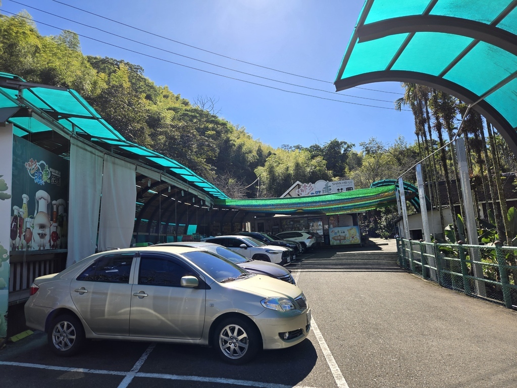 溪頭住宿║杉溪鹿莊園║車寶貝 溪頭超人氣親子獨棟小木屋