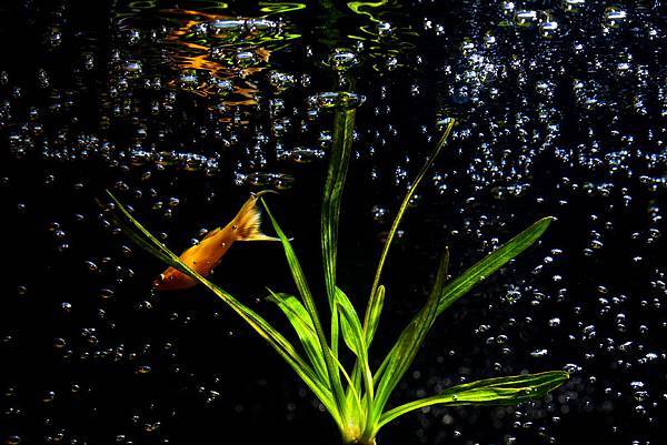 34624905_xxl.jpg 34624905_xxl.jpg