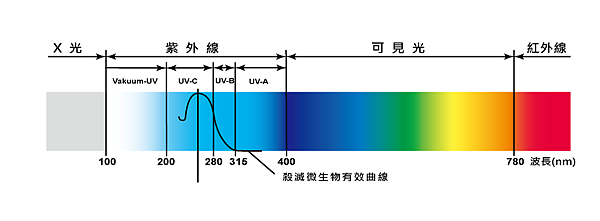 紫外線曲線圖.png