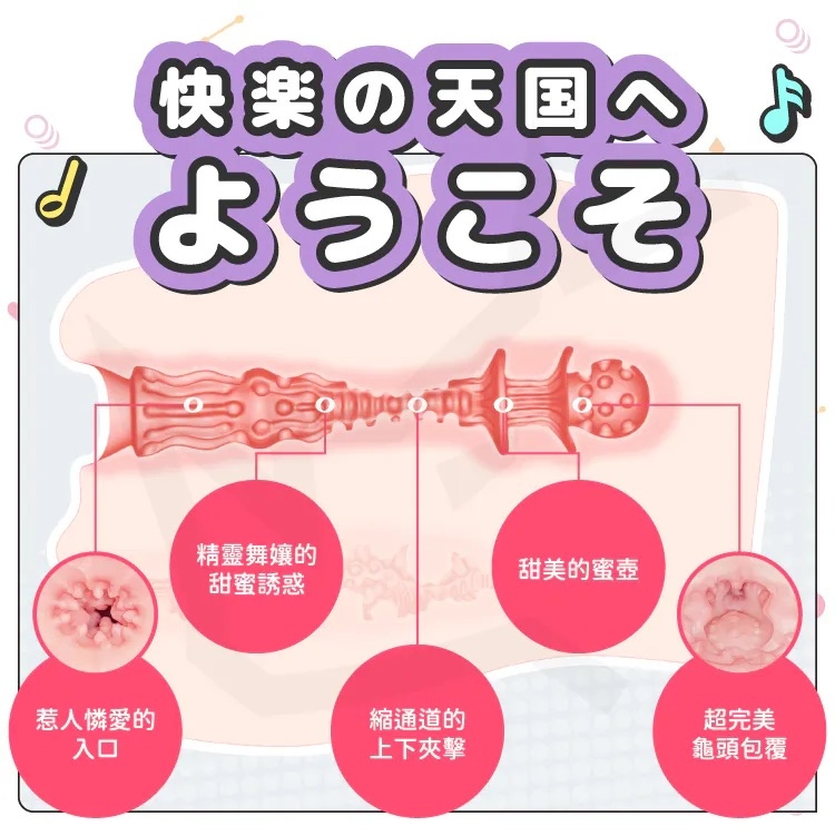 MeloShiko 精靈欲壺 自慰器 陰道剖面圖