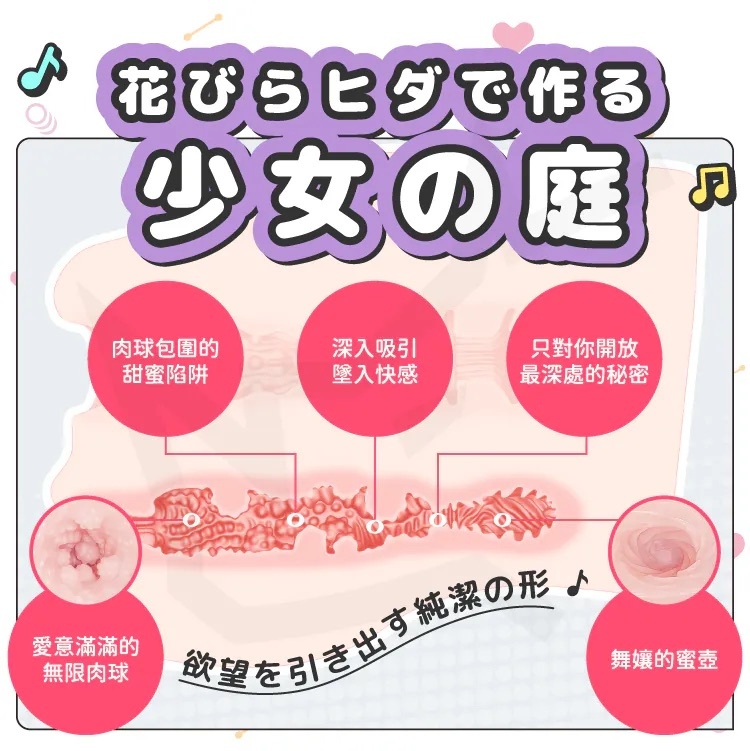 MeloShiko 精靈欲壺 自慰器 後庭剖面圖