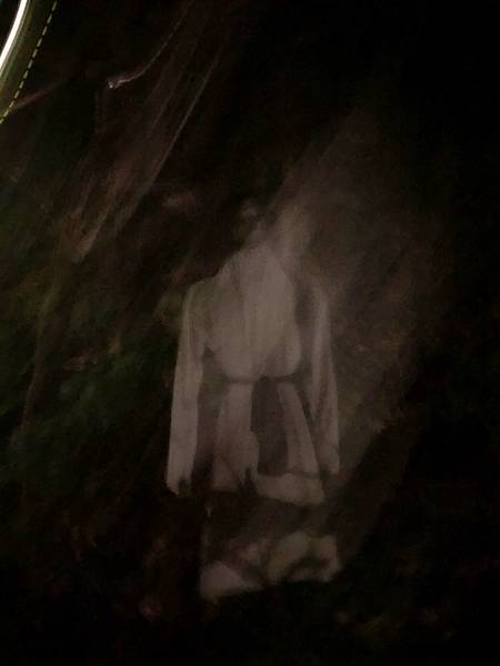 IMG_5668.jpg IMG_5668.jpg